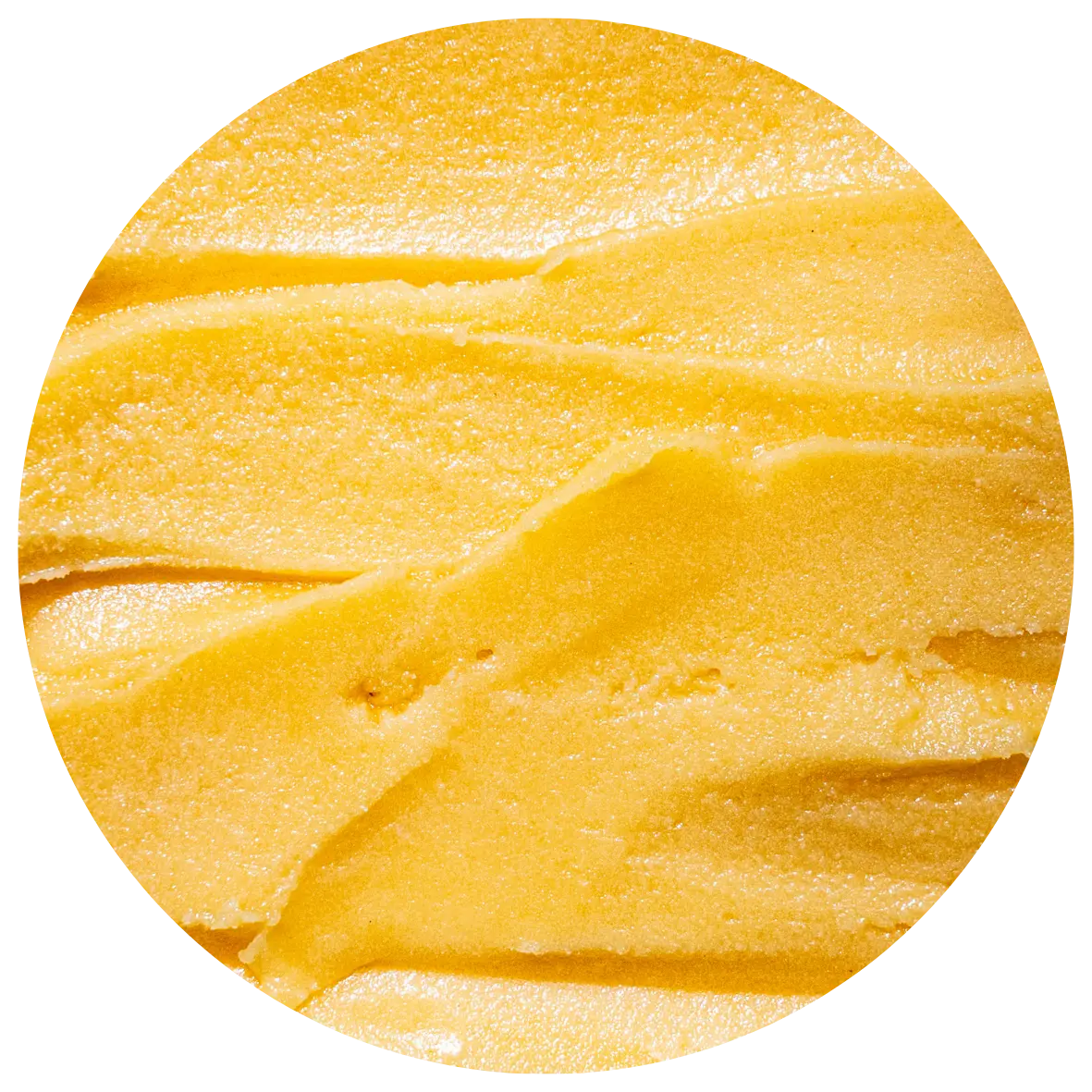 Apricot Sorbet (Vegan)